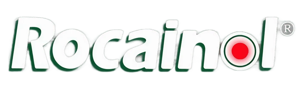Desarrollo Web Argentina 9 Rocainol